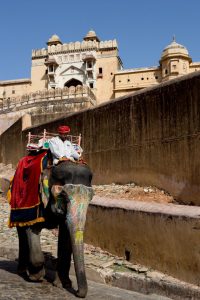 India_126